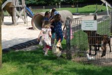 Droenings-Landcafe-Tiergehege-4.jpg
