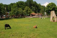 Droenings-Landcafe-Tiergehege-11.jpg