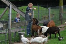 Droenings-Landcafe-Tiergehege-13.jpg
